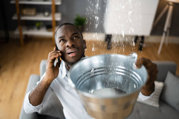 Best Fire Damage Restoration  in Pine, AZ