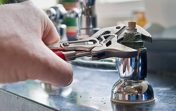 Best Water damage restoration cost  in Pine, AZ