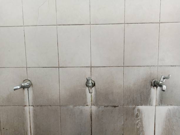 Best Commercial water damage restoration  in Pine, AZ