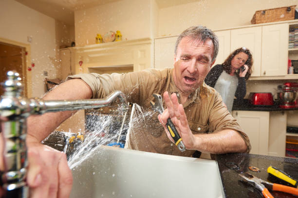 Best Water damage restoration specialists  in Pine, AZ